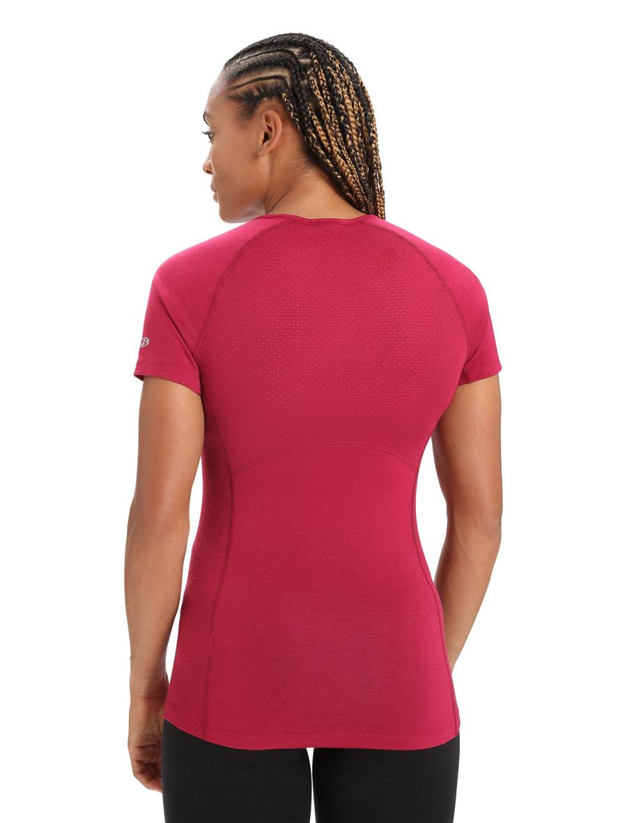 Women's Icebreaker BodyfitZone™ Merino 150 Zone Short Sleeve Crewe Thermal Top Base Layers Cherry | CA 1058BEXC